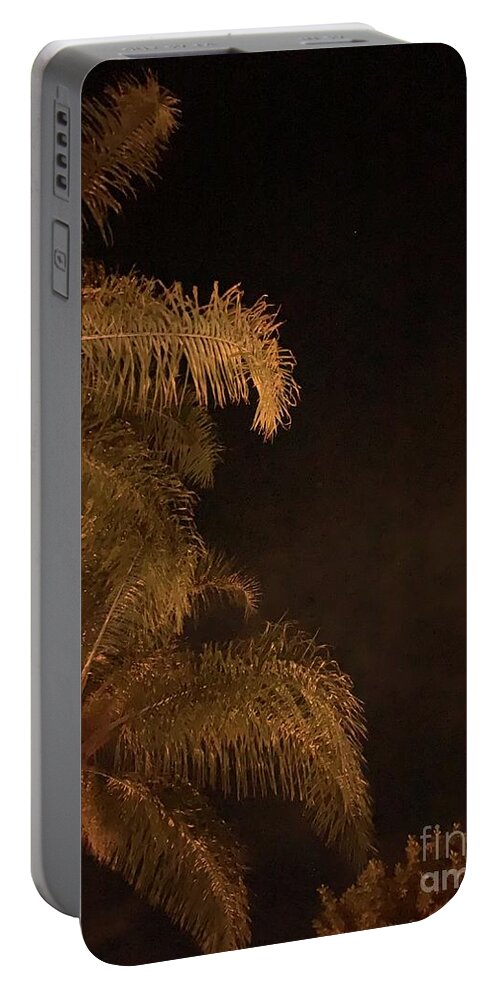 Love Portable Battery Charger featuring the photograph In Love And Light by Tiesa Wesen