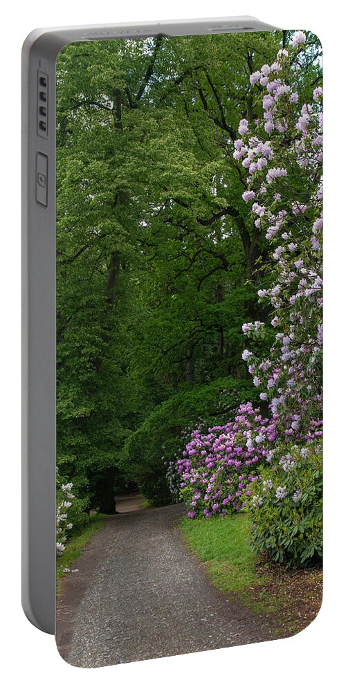 Jenny Rainbow Fine Art Photography Portable Battery Charger featuring the photograph In Rhododendron Woods 25 by Jenny Rainbow