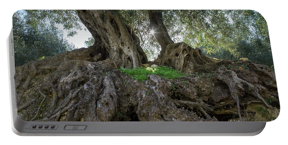 Olive Portable Battery Charger featuring the photograph In the shade of the olive tree by Adriana Mueller