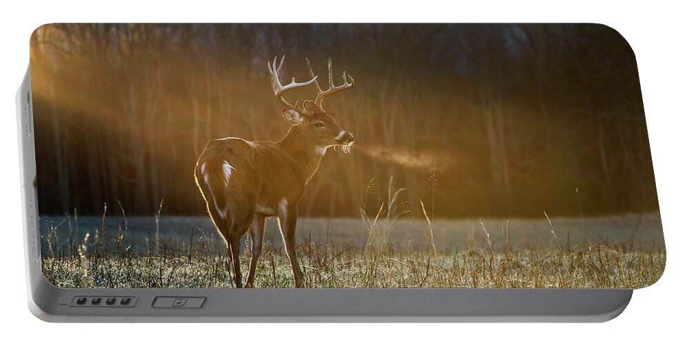Buck Portable Battery Charger featuring the photograph In the Spotlight by Anthony Heflin