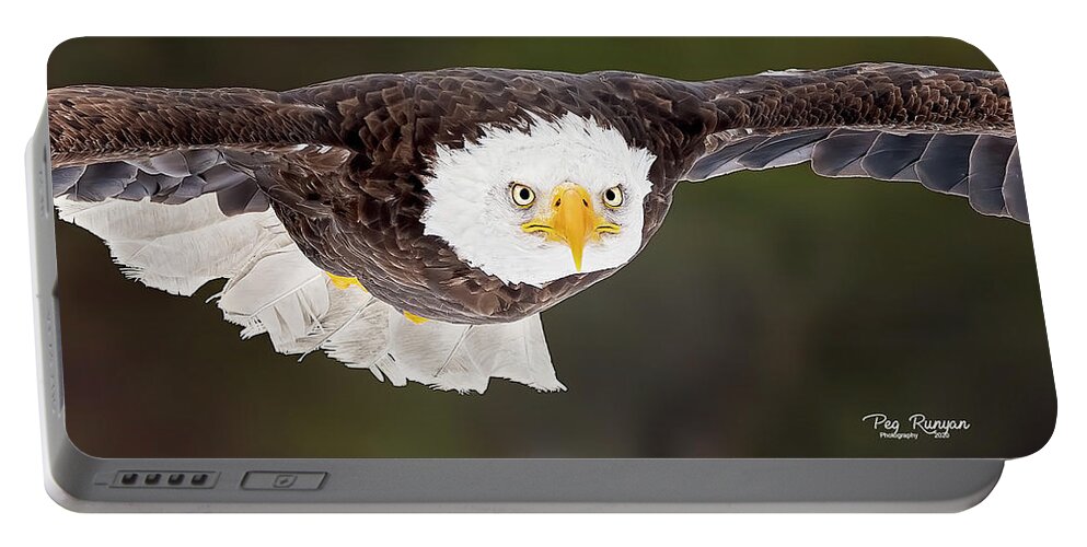 Bird Portable Battery Charger featuring the photograph Intensity by Peg Runyan