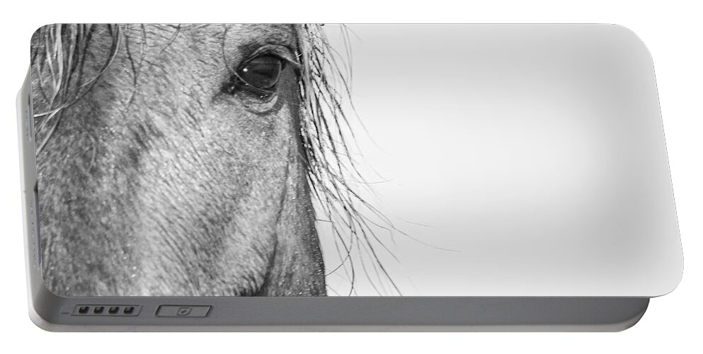 Wild Portable Battery Charger featuring the photograph Intimate Wild Horse Portrait - North Carolina Outer Banks by Bob Decker