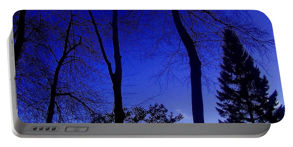 Trees Portable Battery Charger featuring the photograph Into the blue by Christopher Rowlands