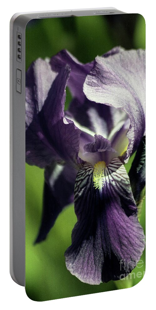 Arizona Portable Battery Charger featuring the photograph Into the World of the Iris by Kathy McClure