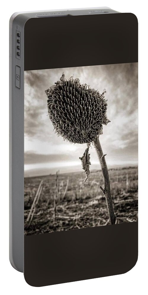 Iphonography Portable Battery Charger featuring the photograph iPhonography Sunflower 2 by Julie Powell