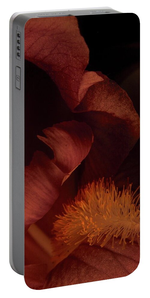 Flower Portable Battery Charger featuring the photograph Iris 0232 by Julie Powell