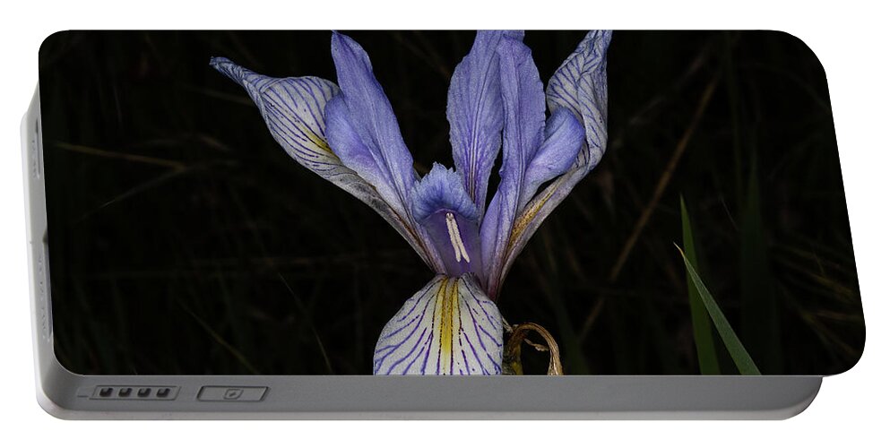 Flower Portable Battery Charger featuring the photograph Iris by Alan Vance Ley