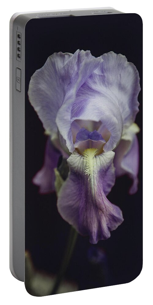 Iris Portable Battery Charger featuring the photograph Iris by Denise Kopko