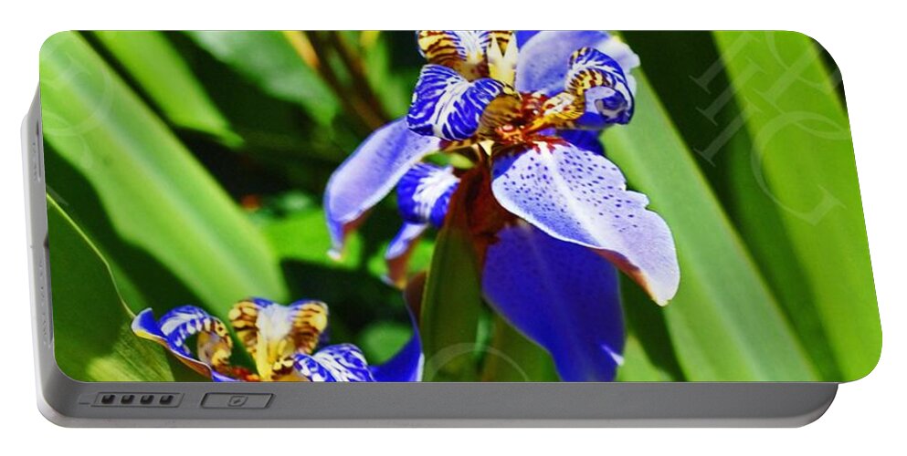 Flower Portable Battery Charger featuring the photograph Iris Up Close by George D Gordon III