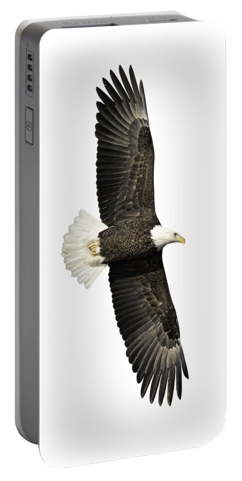 American Bald Eagle Portable Battery Charger featuring the photograph Isolated Bald Eagle 2019-15 by Thomas Young