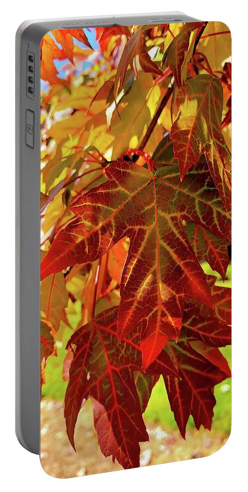 Leaves Portable Battery Charger featuring the photograph It Is Time by Roberta Byram