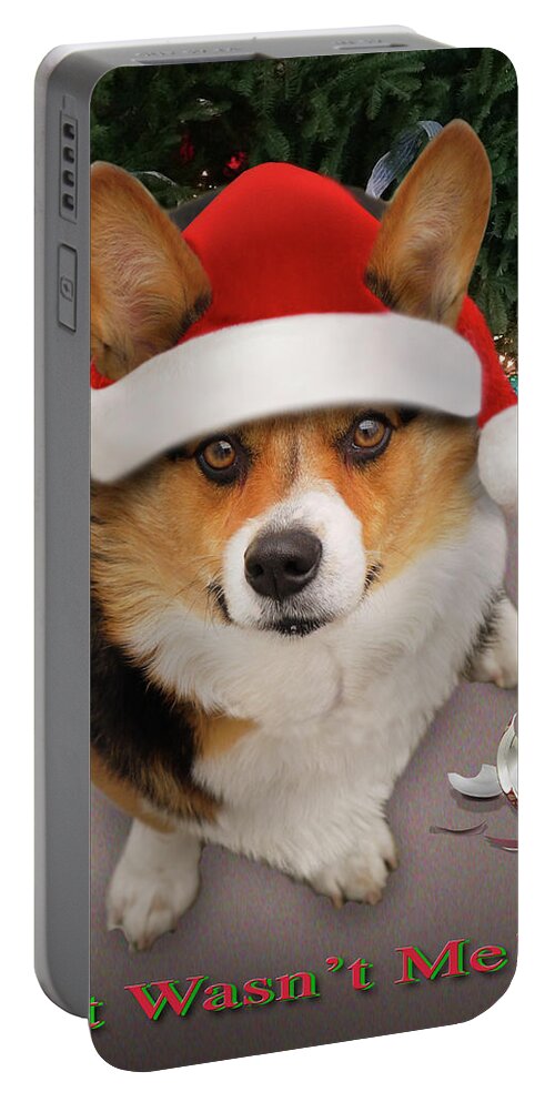 Corgi Portable Battery Charger featuring the photograph It Wasn't Me by Mike McGlothlen