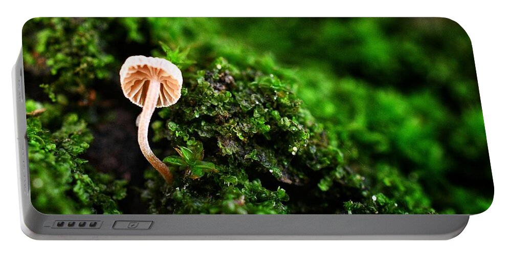 Photo Portable Battery Charger featuring the photograph Itty Bitty Mushroom by Evan Foster