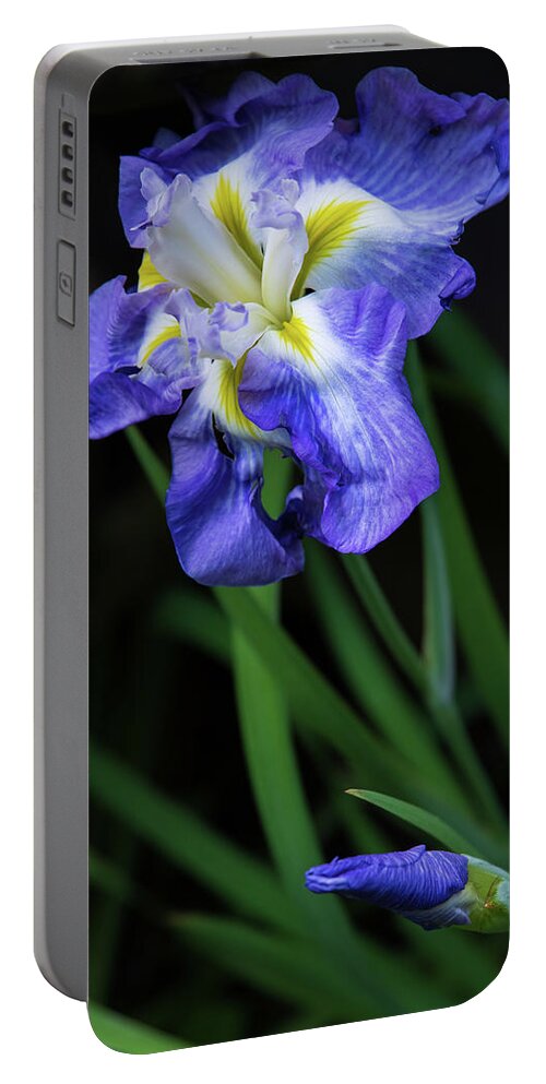 Flower Portable Battery Charger featuring the photograph Japanese Irises by Stephen Sloan