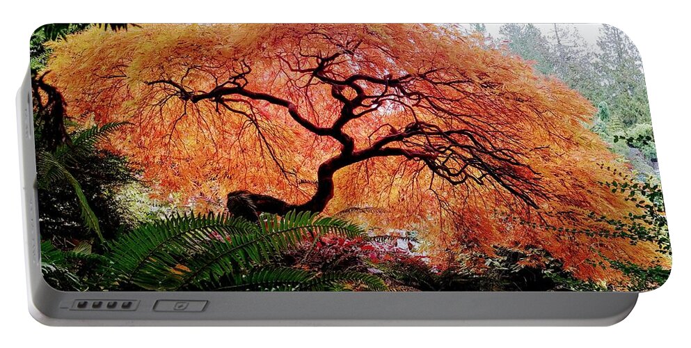 Japanese Maple Tree Portable Battery Charger featuring the photograph Japanese Maple Tree by Darrell MacIver