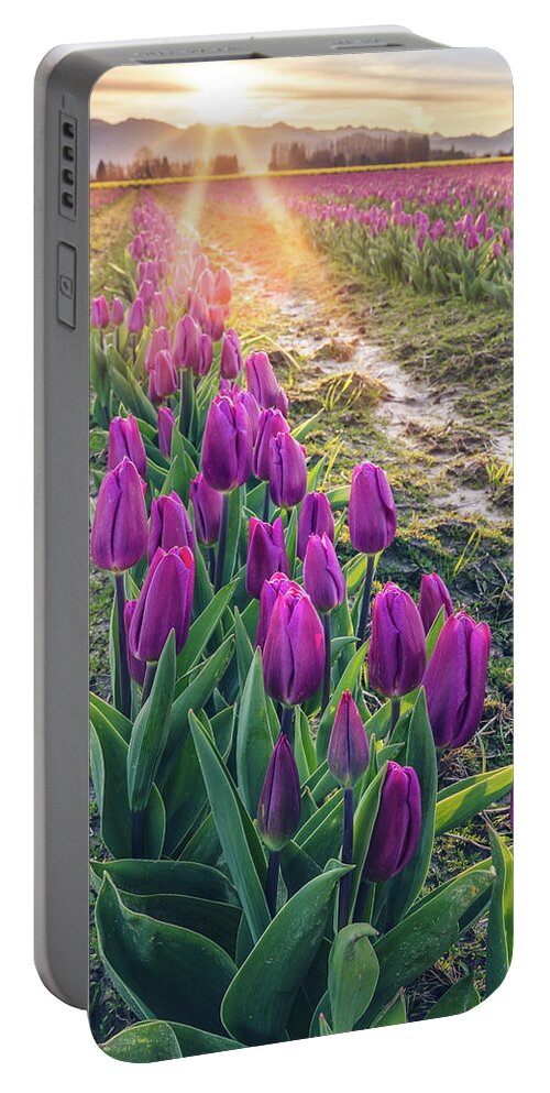 Tulips Portable Battery Charger featuring the photograph Jewel Tone Tulips by Michael Rauwolf