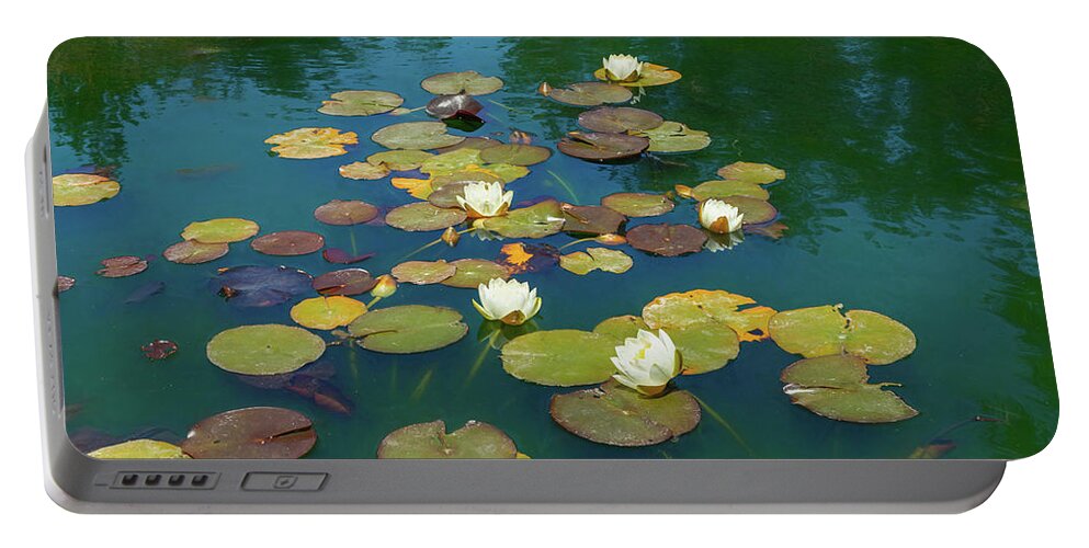 Water Lily Portable Battery Charger featuring the photograph June Water Lilies on Pond by Bonnie Follett