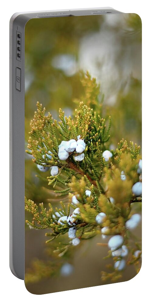 Juniper Portable Battery Charger featuring the photograph Juniper Berries by Lens Art Photography By Larry Trager