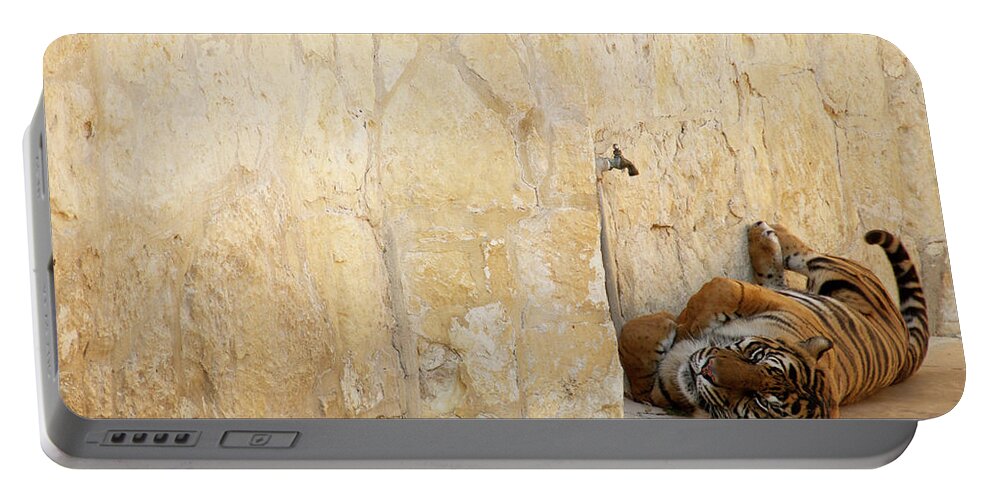 Tiger Portable Battery Charger featuring the photograph Just Chillin' by Melissa Southern