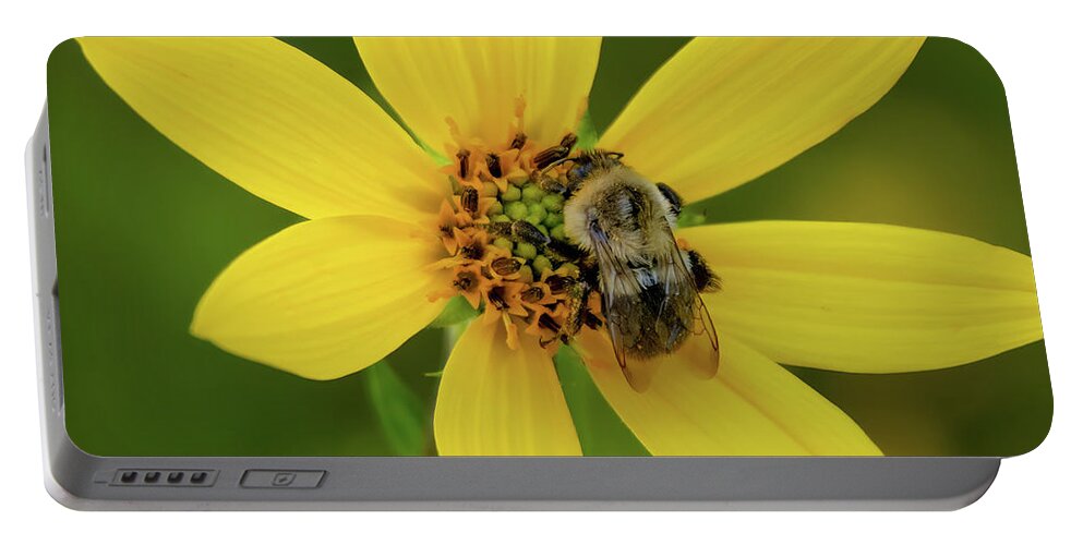 Bee Portable Battery Charger featuring the photograph Just Doing My Job by John Kirkland