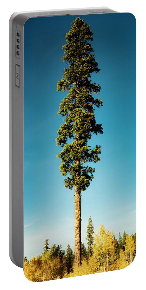 Nature Portable Battery Charger featuring the photograph Just Trying to Blend In by Mike Lee
