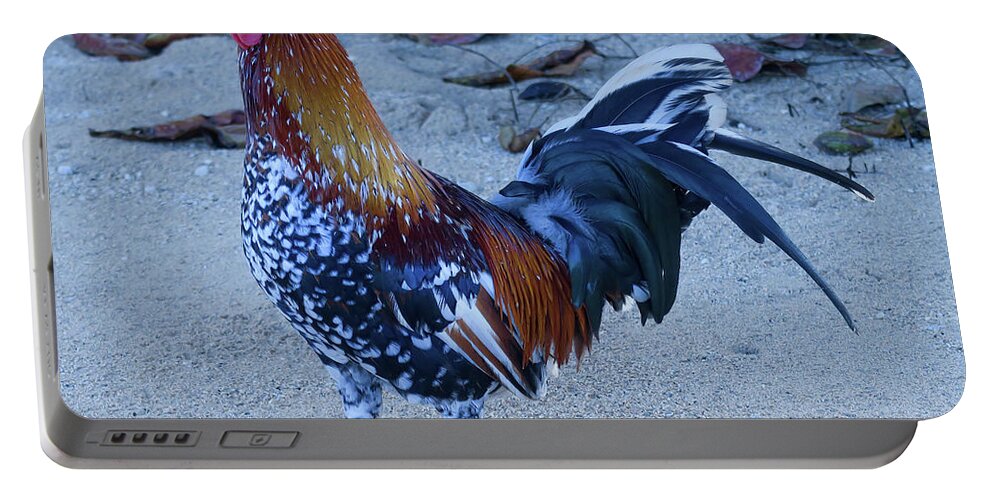 Hawaii Portable Battery Charger featuring the photograph Kauai Beach Rooster. by Doug Davidson