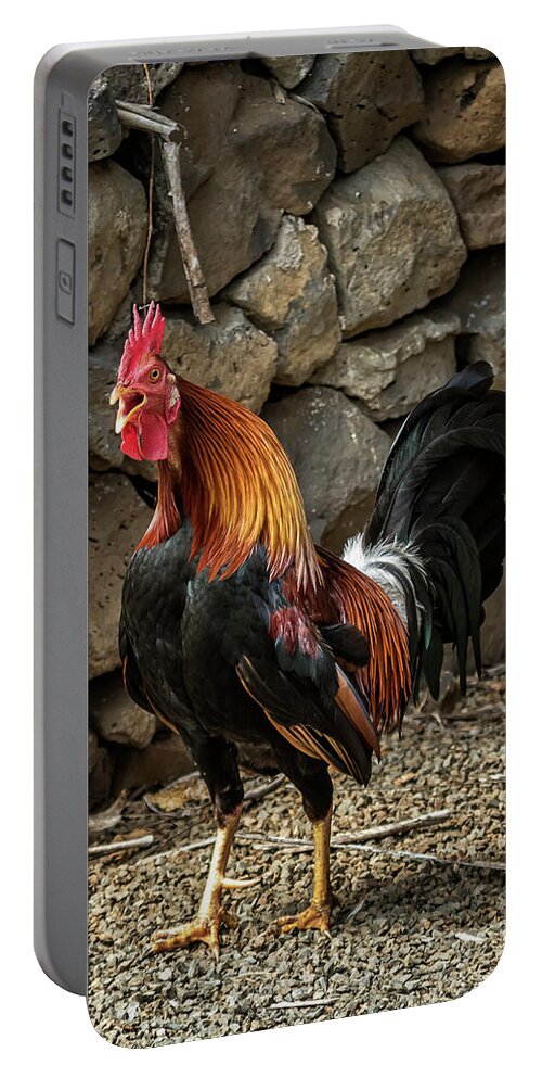 Rooster Portable Battery Charger featuring the photograph Kauai Rooster Crowing by Belinda Greb
