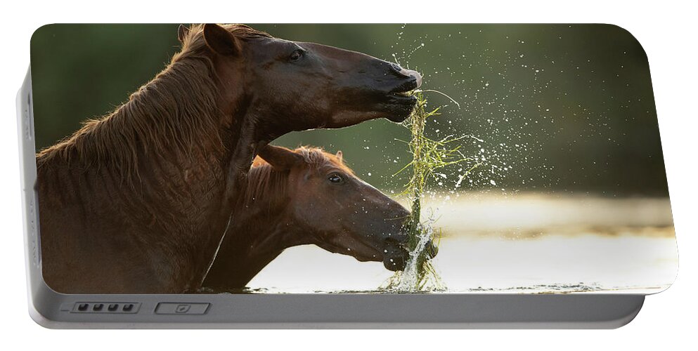 Salt River Wild Horses Portable Battery Charger featuring the photograph Keep Away by Shannon Hastings