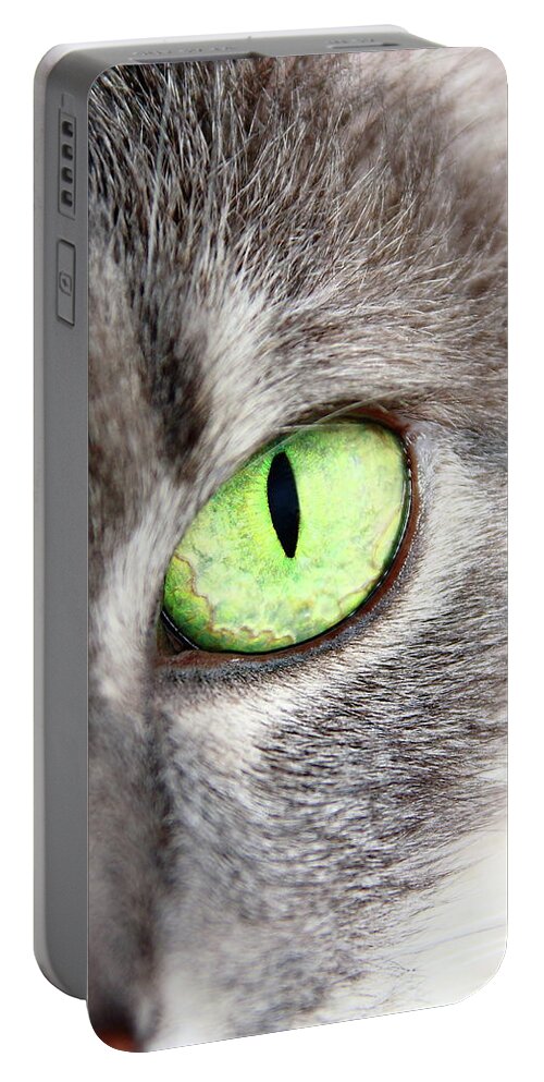 Cat Portable Battery Charger featuring the photograph Keeping An Eye On You by Lens Art Photography By Larry Trager