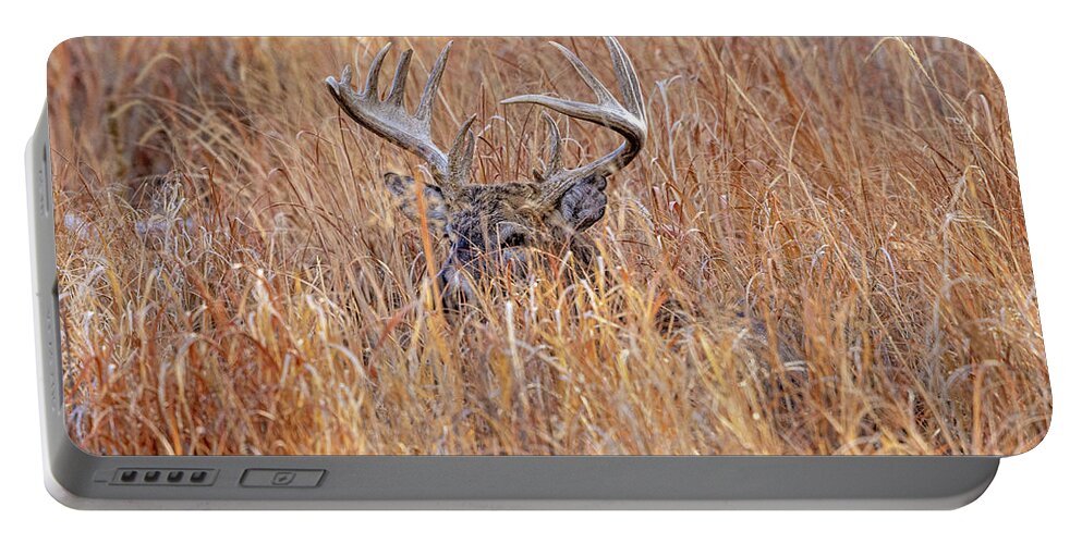 Deer Portable Battery Charger featuring the photograph Keeping and Eye On You by D Robert Franz