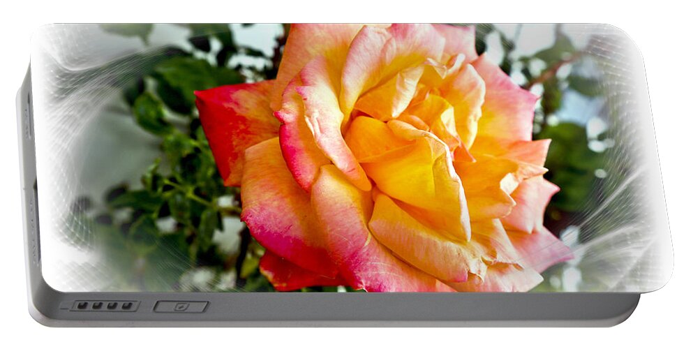 Rose Portable Battery Charger featuring the photograph Kellys Double Delight Rose by Joyce Dickens