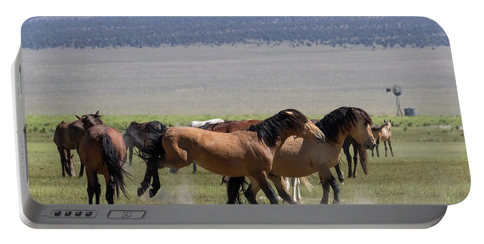 Eastern Sierra Portable Battery Charger featuring the photograph Kicking up Dust by Windmill by Cheryl Strahl