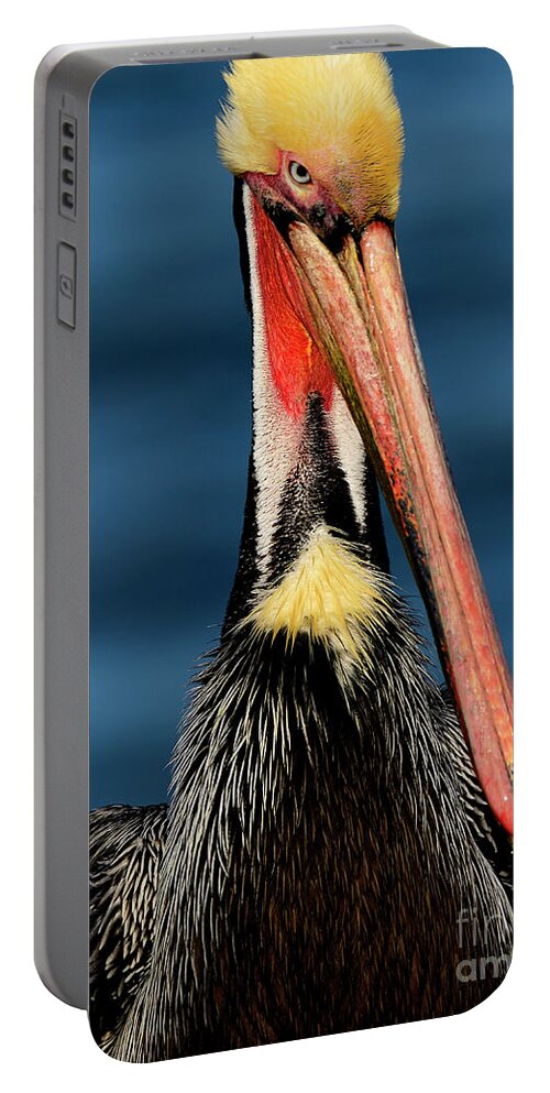 Birds Portable Battery Charger featuring the photograph King Of The Coast by John F Tsumas