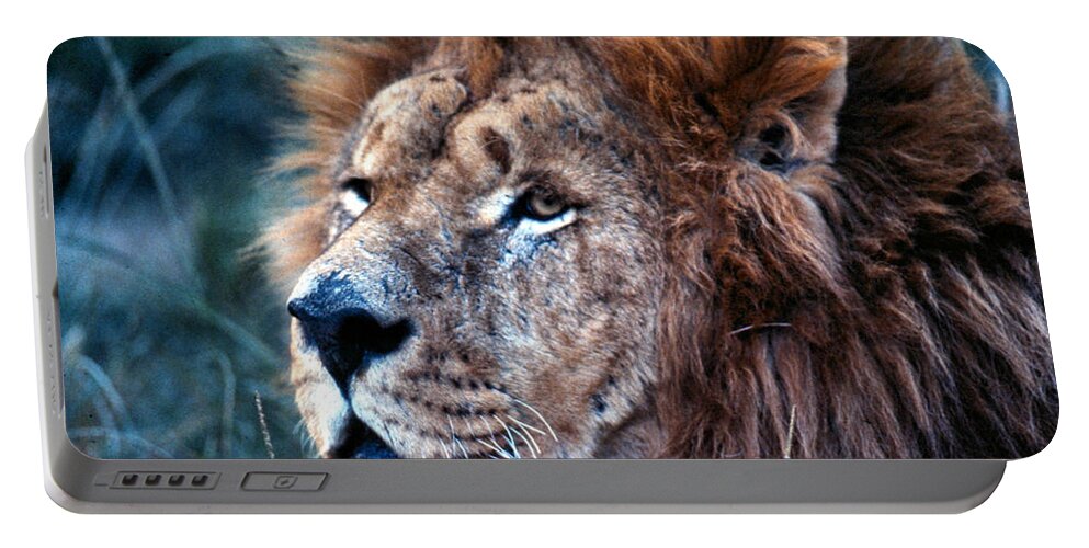Lion Portable Battery Charger featuring the photograph King of the Jungle Profile by Russel Considine
