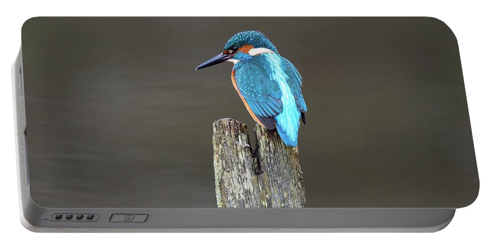 Kingfisher Portable Battery Charger featuring the photograph Kingfisher on a Post by Mark Hunter