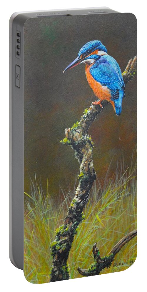 Kingfisher Portable Battery Charger featuring the painting Kingfisher on Branch by Alan M Hunt
