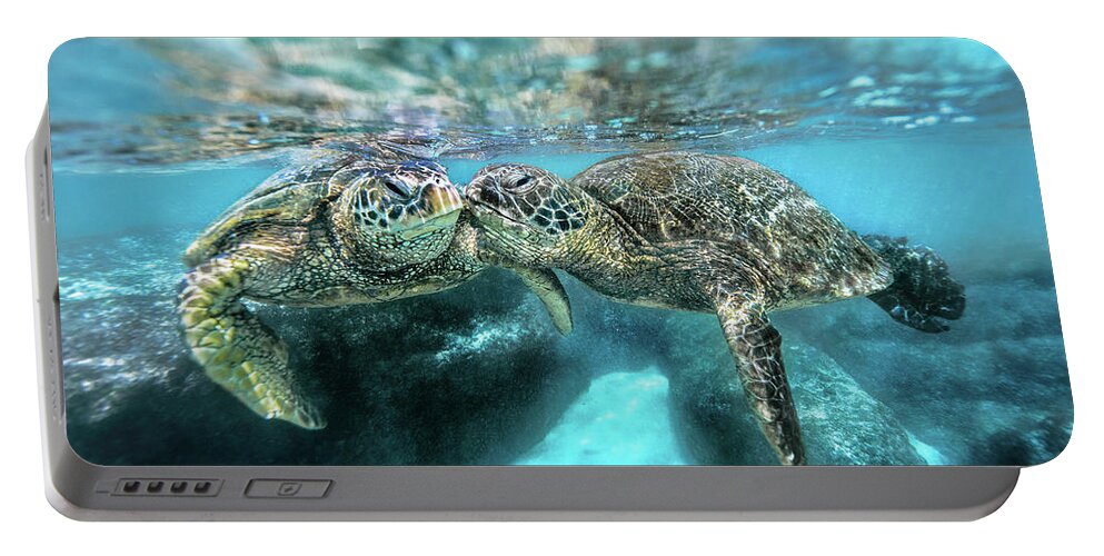 Kissing Turtles Portable Battery Charger featuring the photograph Kissing Turtle by Leonardo Dale