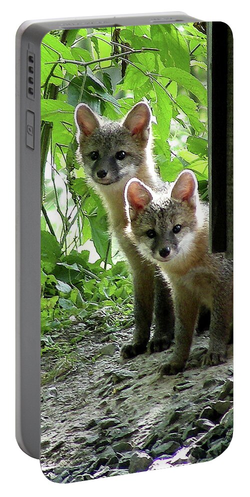 Kit Fox Portable Battery Charger featuring the photograph Kit Fox16 by Torie Tiffany