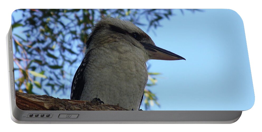 Kookaburra Portable Battery Charger featuring the photograph Kookaburra on a Tree by Kathrin Poersch