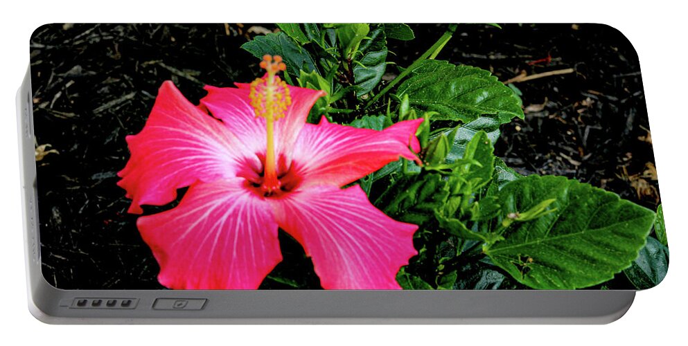 Flower Portable Battery Charger featuring the digital art La cayena by Daniel Cornell