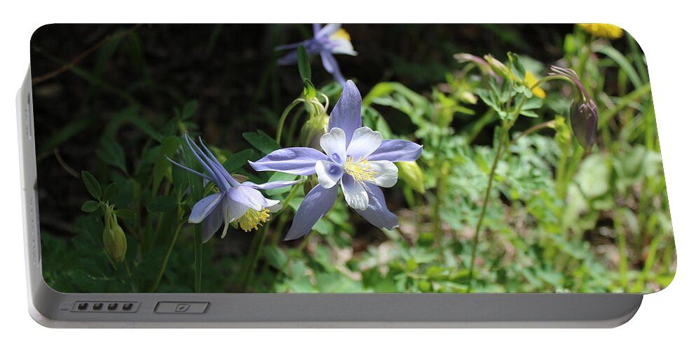 Flowers.blue Portable Battery Charger featuring the photograph La Plata Columbines by Doug Miller