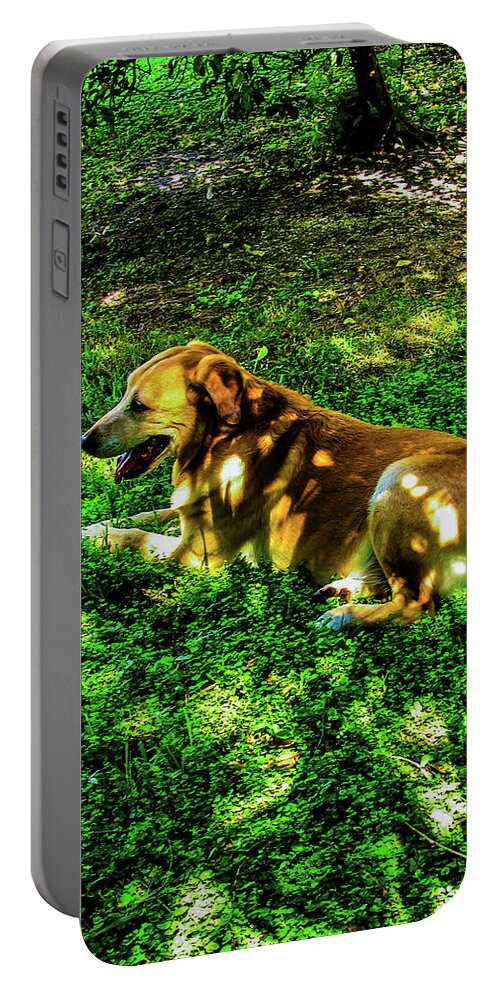 Art Portable Battery Charger featuring the photograph Labrador Retriever Art 42 by Miss Pet Sitter