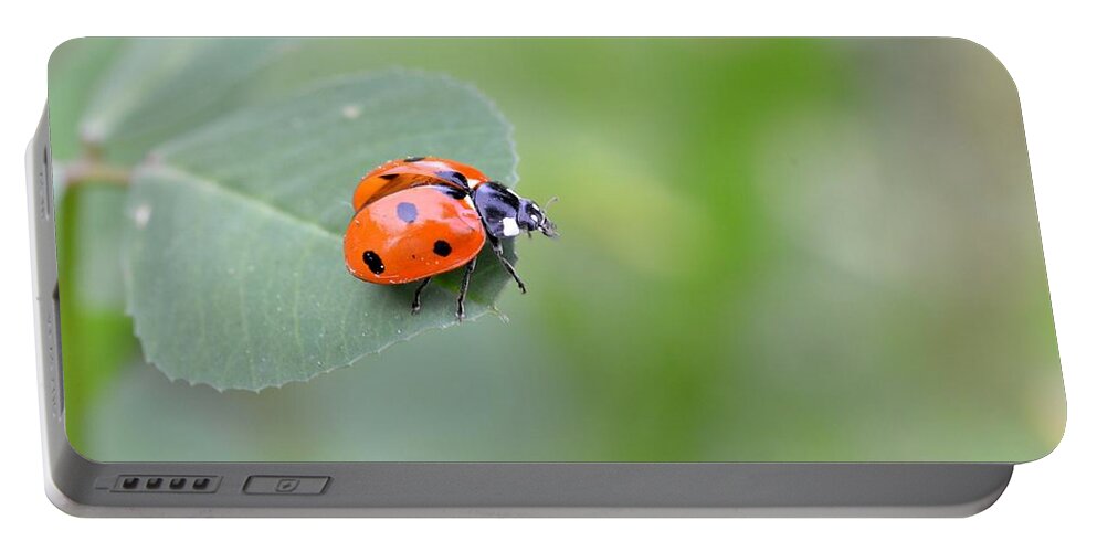 Lady Bug Portable Battery Charger featuring the photograph Lady Bug 2 by Amy Fose