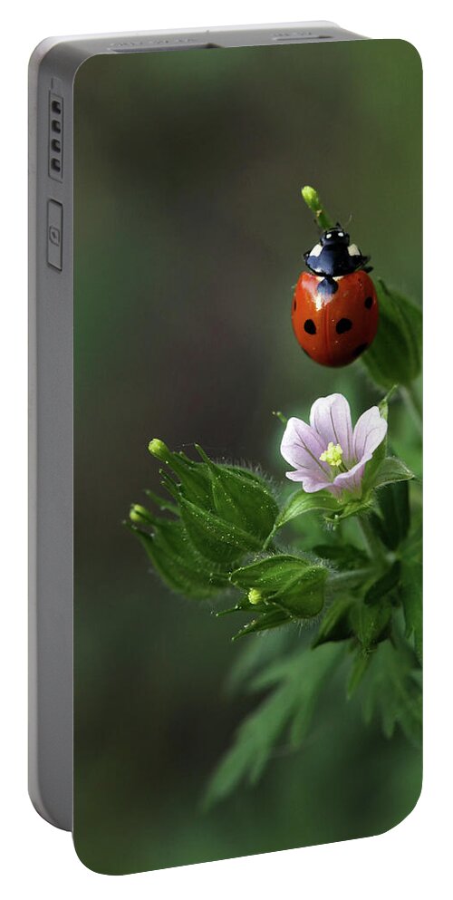  Portable Battery Charger featuring the photograph Lady Bug by William Rainey