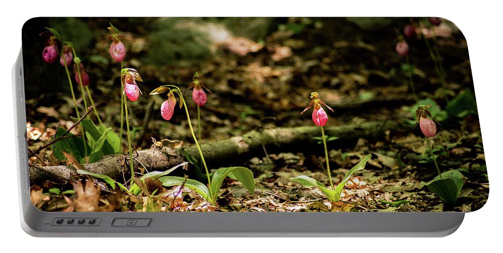 Fineartamerica Portable Battery Charger featuring the photograph Lady Slipper 3 by Michael Saunders