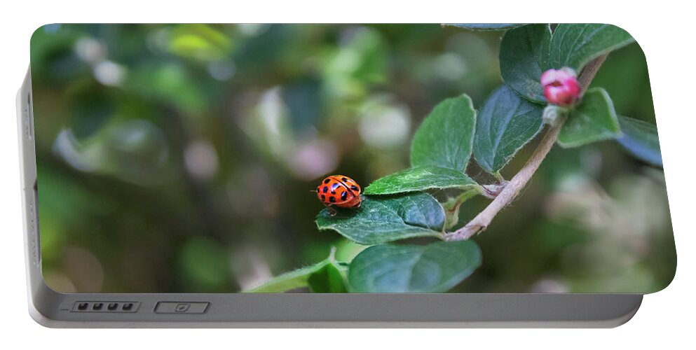 Ladybug Portable Battery Charger featuring the photograph Ladybug by MPhotographer