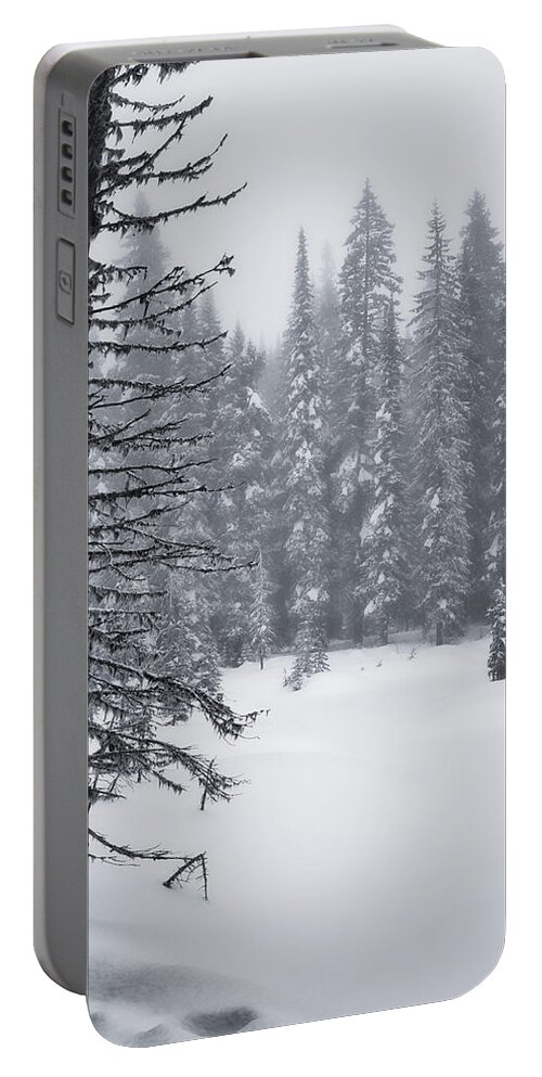 Black And White Photography Portable Battery Charger featuring the photograph Lakeside Winter Scene BW by Allan Van Gasbeck