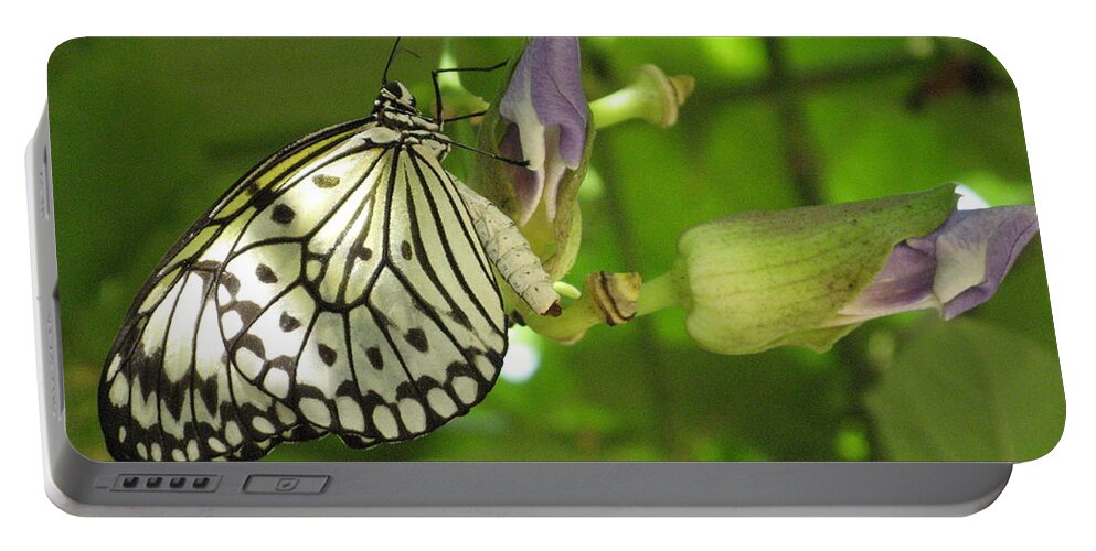 Butterfly Portable Battery Charger featuring the photograph Landed by World Reflections By Sharon