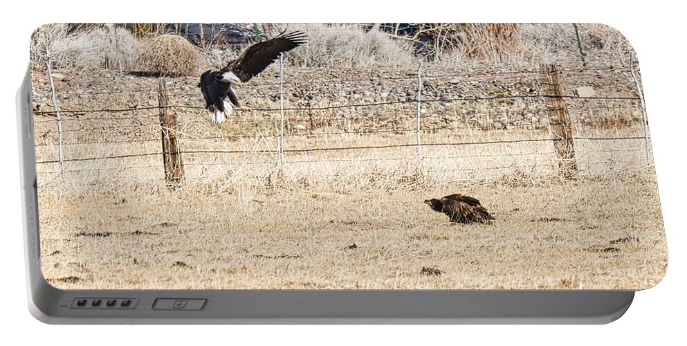 Eagle Portable Battery Charger featuring the photograph Landing by Steph Gabler