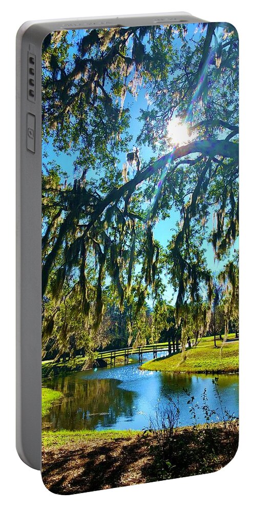 Light Portable Battery Charger featuring the photograph Landscape 1 by Michael Stothard